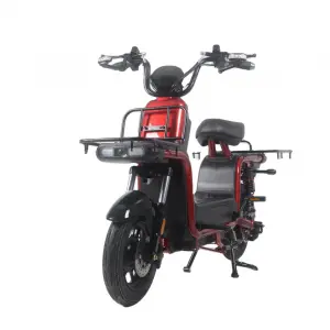 cargo electric bicycle